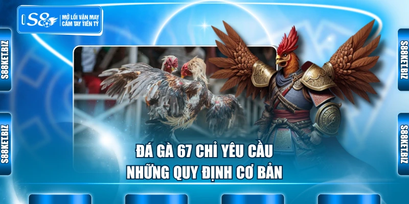 Đá gà 67 chỉ yêu cầu những quy định cơ bản